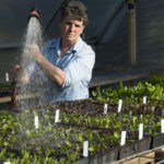 Kathy Evans watering